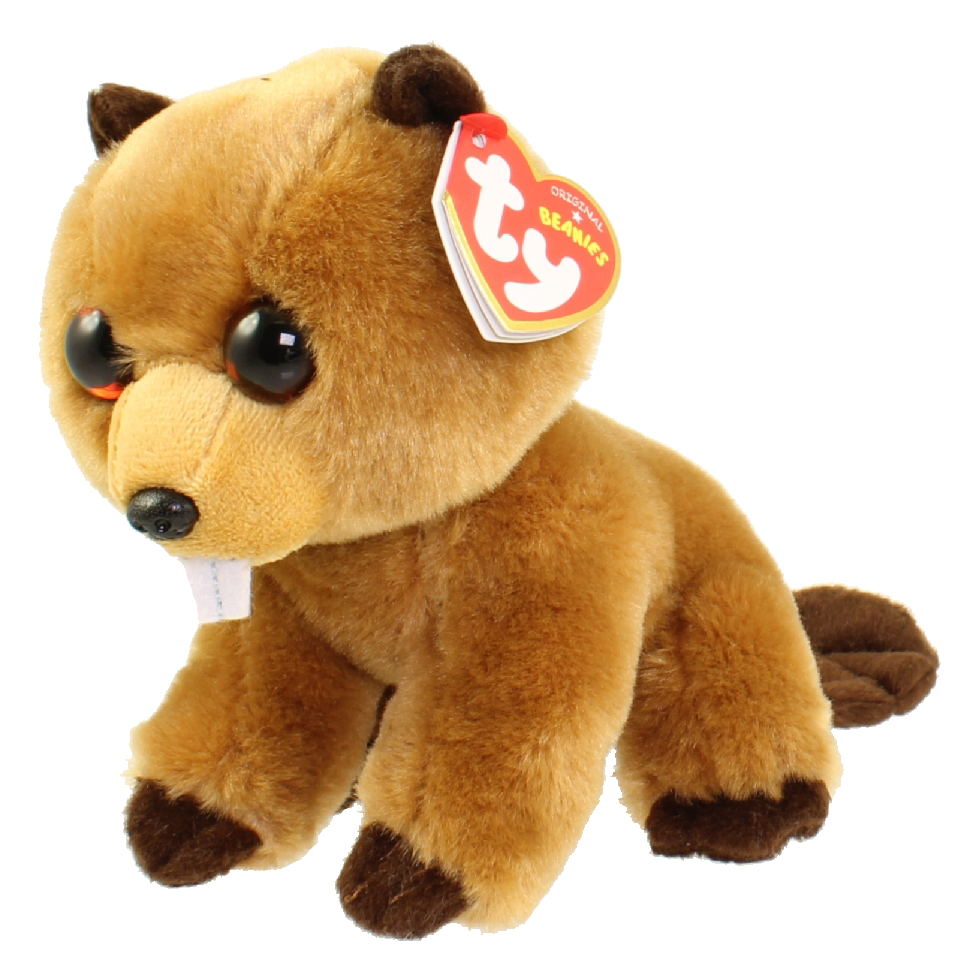 TY Beanie Baby - RICHIE the Beaver (6 inch)