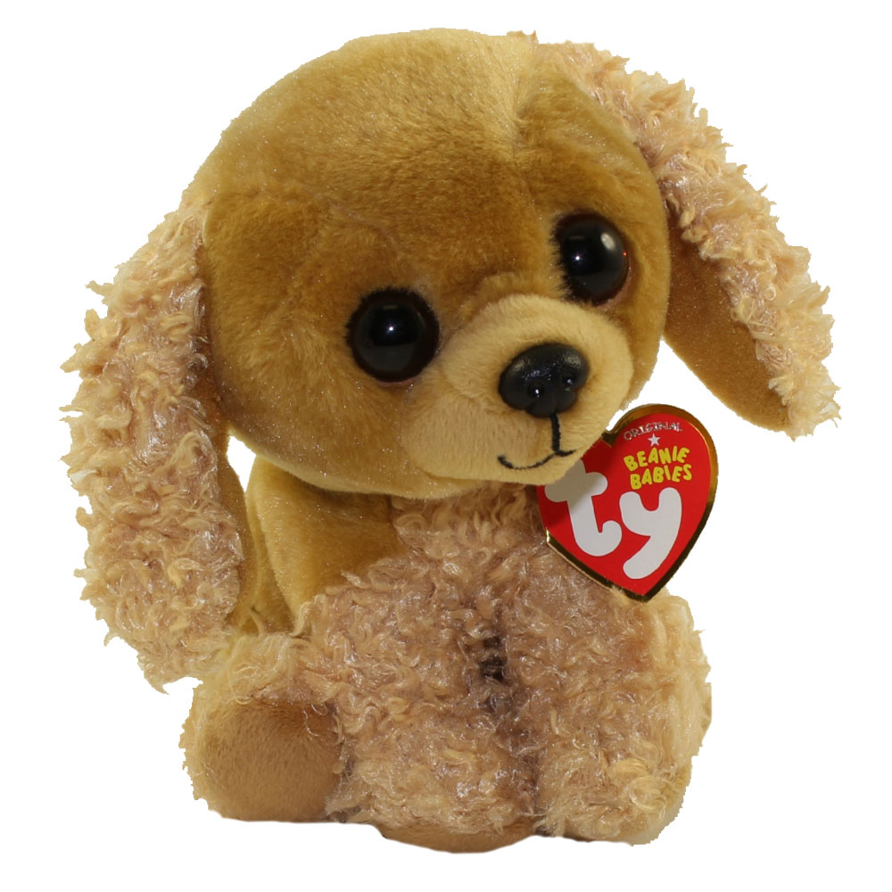 beanie boos puppy