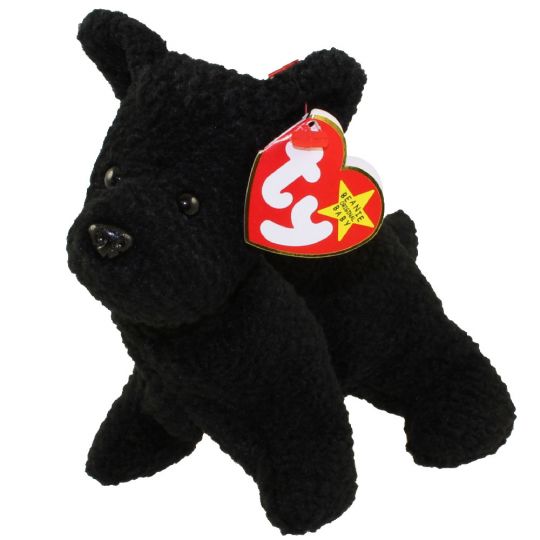 Baby scottie shop