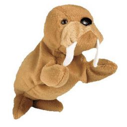 TY Beanie Baby - TUSK the Walrus (4th Gen hang tag) (7.5 inch)