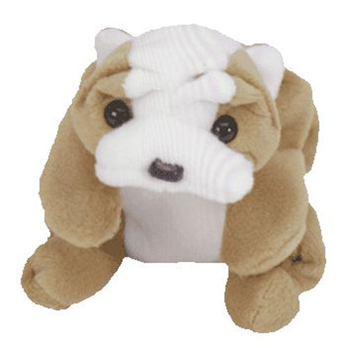 TY Beanie Baby - WRINKLES the Bull Dog (8 inch)