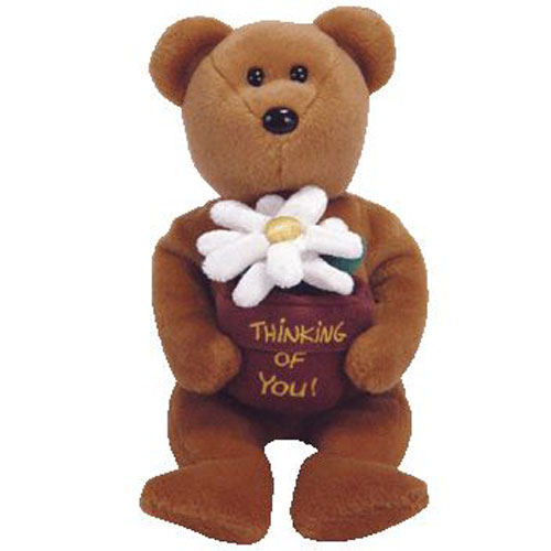 TY Beanie Baby - YOU'RE SPECIAL the Bear (Internet 