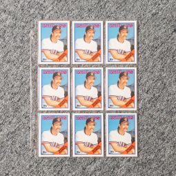 Lot of 10 1988 Topps Baseball Cards - DOUG JONES #293