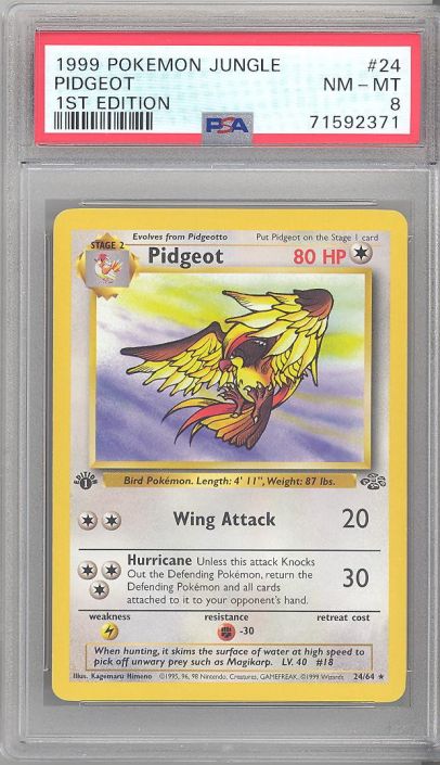 PIDGEOT 8/64 HOLO RARE JUNGLE SET COLLECTION 1999 POKEMON CARD