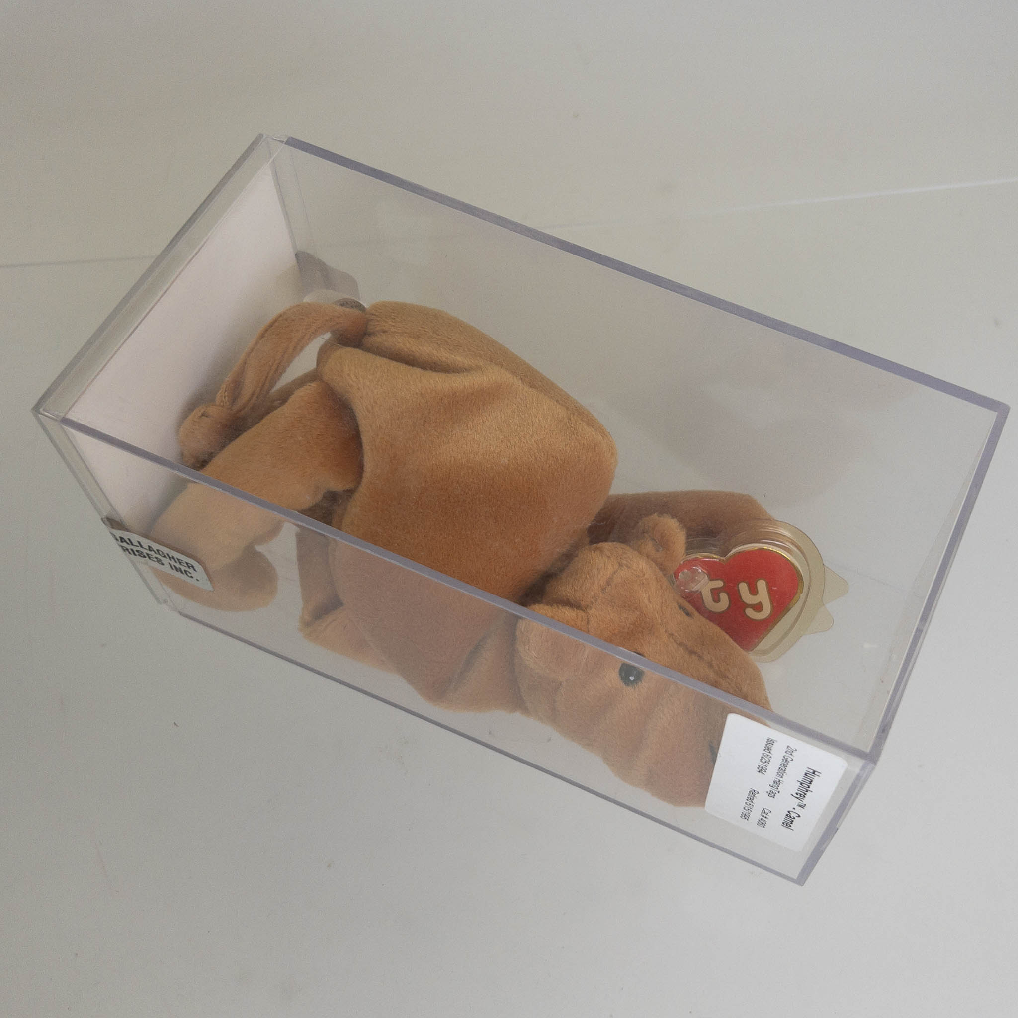 Authenticated TY Beanie Baby - HUMPHREY the Camel (2nd Gen Hang Tag - 99% Mint)