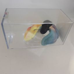 Authenticated TY Beanie Baby - FLUTTER the Butterfly (No Hang Tag - 2nd Gen Tush Tag)