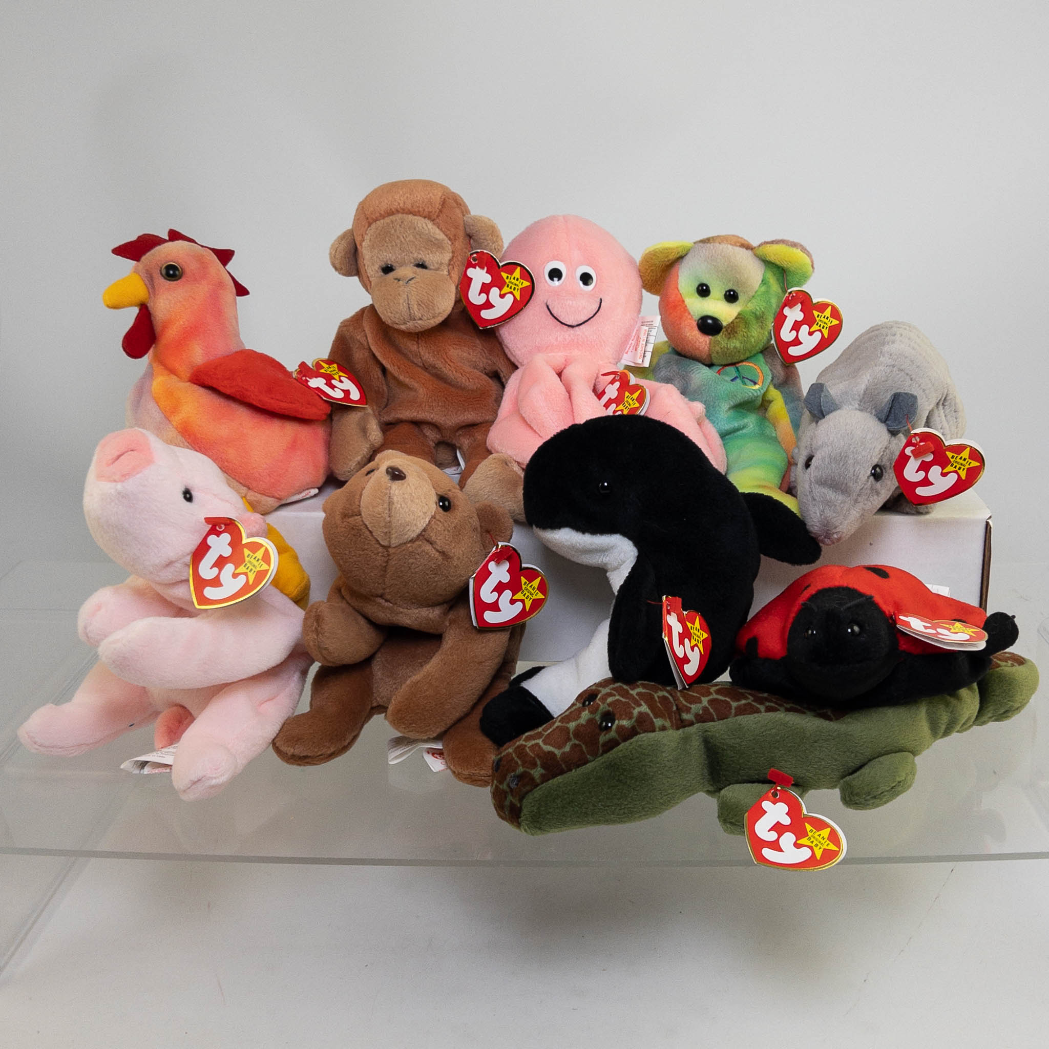 TY Beanie Babies Lot of 10 (Bongo Peace Strut Waves Ally +5) *CANADIAN TUSH TAGS* BBToyStore