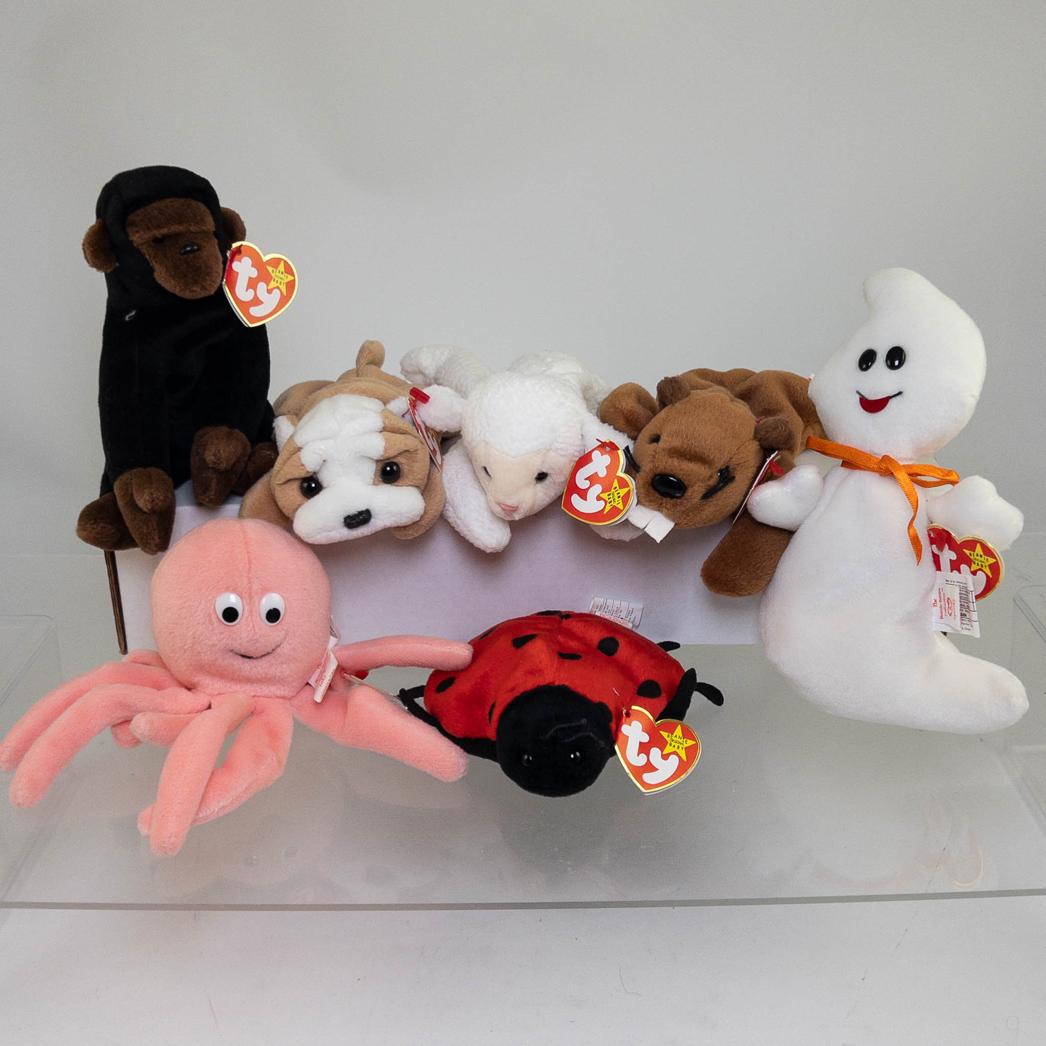 TY Beanie Babies Lot of 7 (Fleece Bucky Wrinkles Congo Spooky Lucky