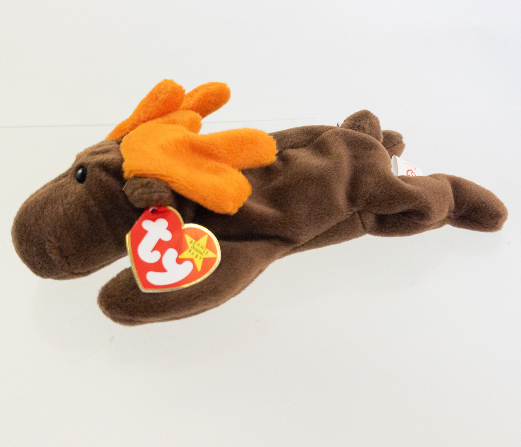 TY Beanie Baby - CHCOLATE the Moose (w/ Rover tush tag - ODDITY)