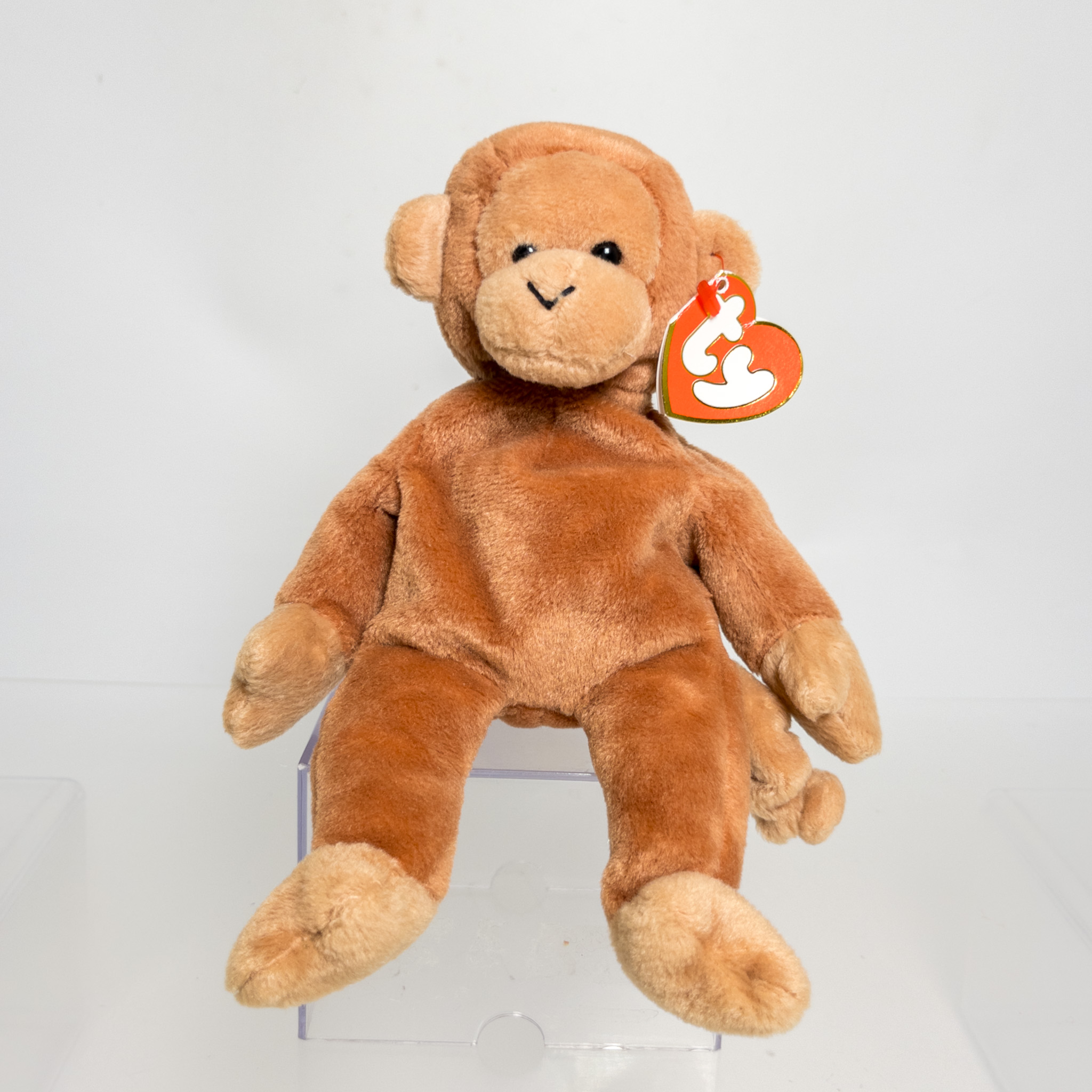 TY Beanie Baby - BONGO the Monkey (3rd Gen Hang Tag - MWCTs)