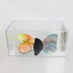 Authenticated TY Beanie Baby - FLUTTER the Butterfly (3rd Gen Hang Tag - MWMTs MQ)