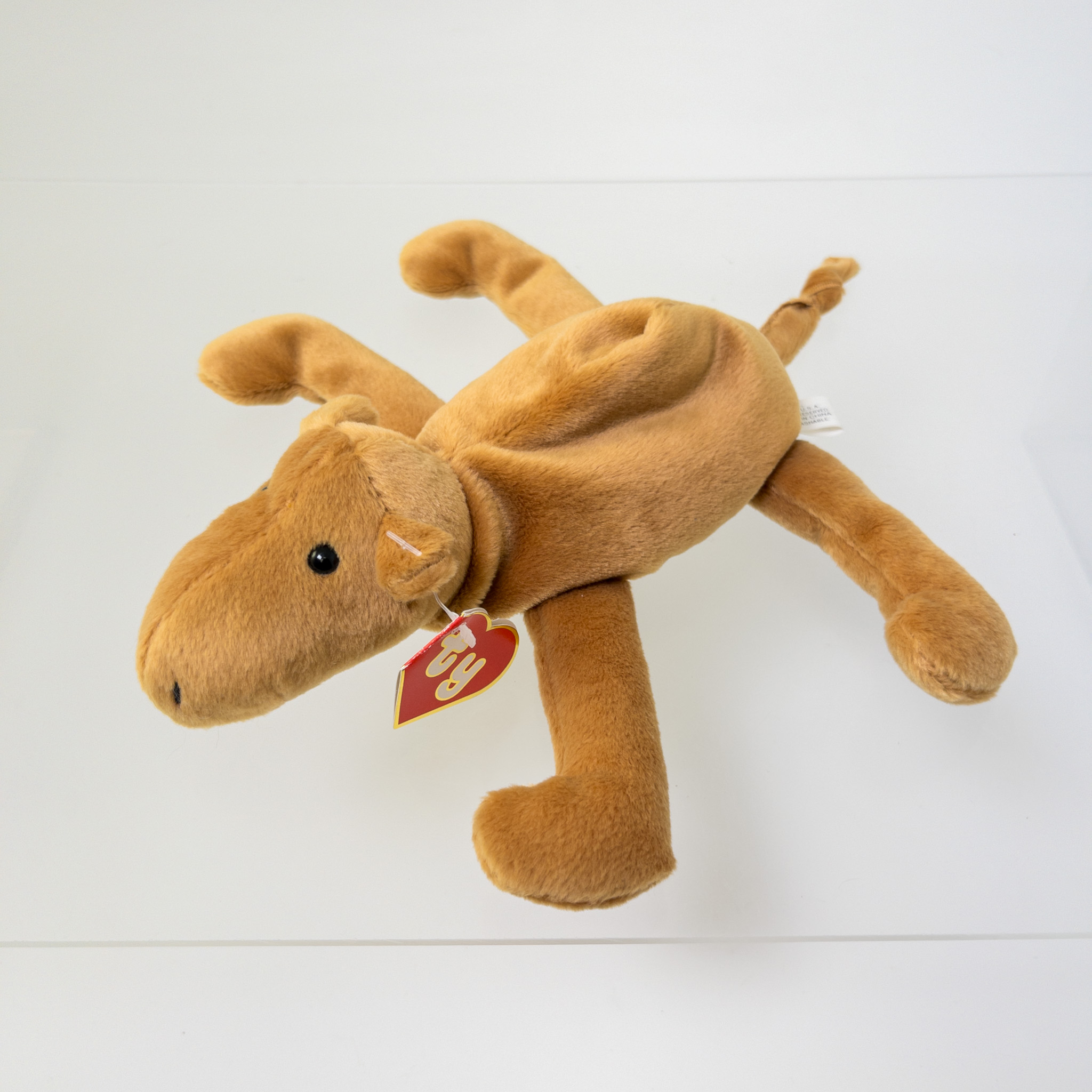 TY Beanie Baby - HUMPHREY the Camel (2nd Gen Hang Tag - 99% MINT)