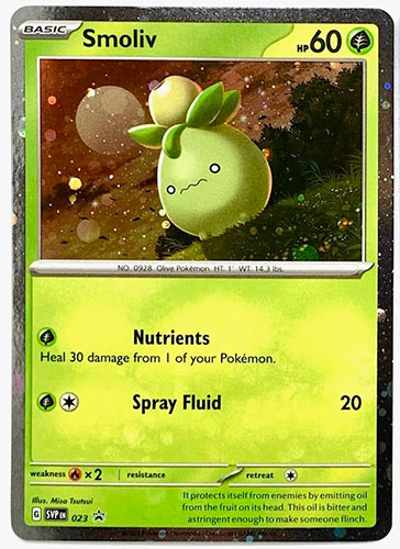 smoliv pokemon card Paldea Friends Mini Tin