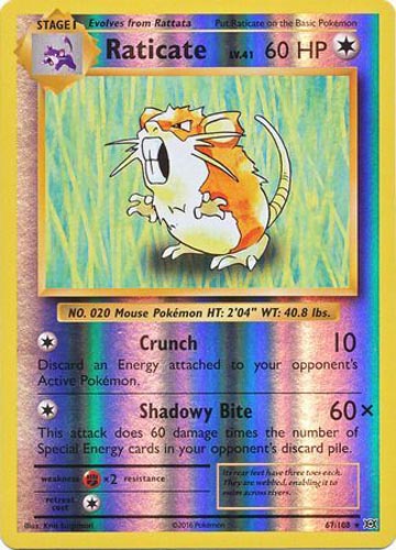 Pokemon Card - XY: Evolutions 67/108 - RATICATE (reverse