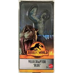 Mattel - Jurassic World Dominion Dinosaur Figure - VELOCIRAPTOR 'BLUE' (6 inch) HMK81