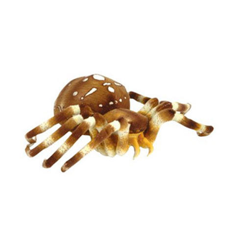 Adventure Planet Plush - SPIDER (Brown & White) ( 8 inch )