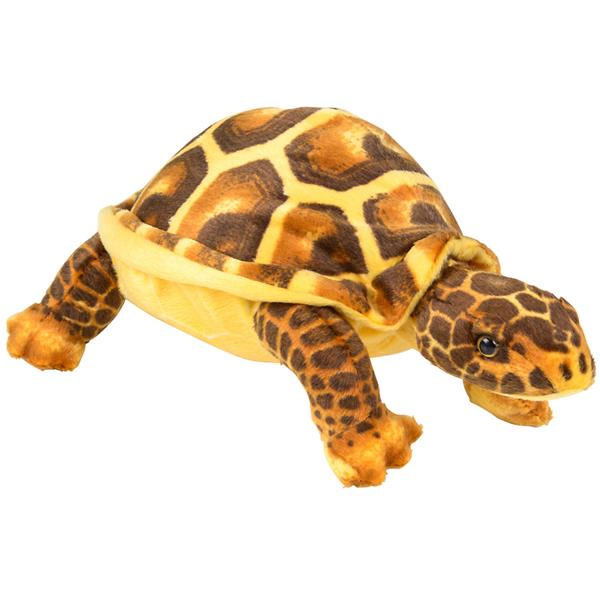 10 Inch Turtle Adventure Planet Plush - TURTLE (Brown)( 10.5 inch ): BBToyStore.com ...