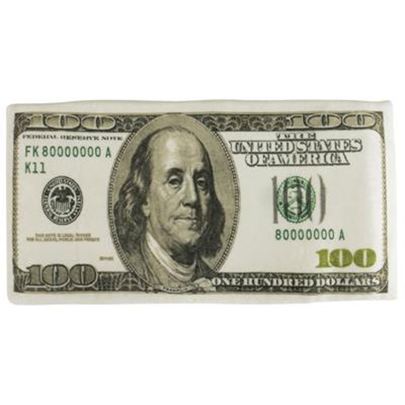 Generic Value Plush - 100 DOLLAR BILL (10 inch)