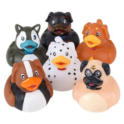 Rhode Island Novelty - Rubber Ducks - DOGS (Set of 6 Styles)
