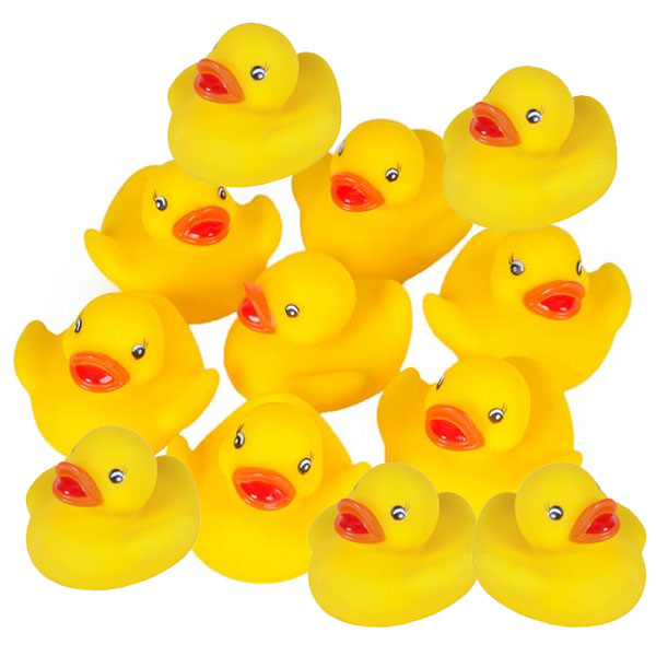 Rhode Island Novelty - Rubber Ducks - BABY DUCKS (1 Dozen)