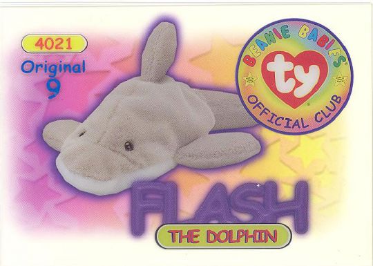 flash the dolphin beanie baby