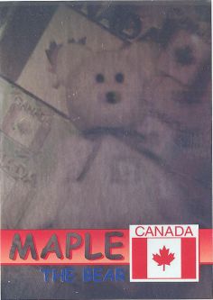 TY Beanie Babies BBOC Card - Series 2 Rare Bear (BLUE) - MAPLE (#/20001)