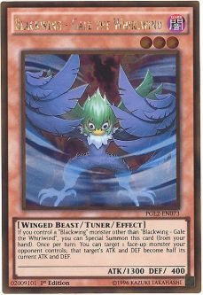 Yu-Gi-Oh Card - PGL2-EN073 - BLACKWING - GALE THE WHIRLWIND (gold rare holo)