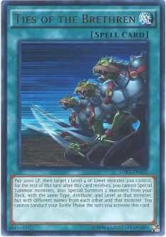 Yu-Gi-Oh Card - LDK2-ENY02 - TIES OF THE BRETHREN (ultra rare holo)