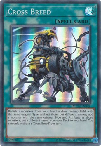 ocg yugioh cards for sale Amazon.com: 500 Assorted Yugioh Cards Including Rare, Ultra Rare and  Holographic Cards : Toys & Games main image 1